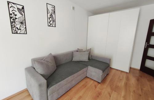 SDH 3 Wolomin comfortable apartment near Warsaw - Foto 6