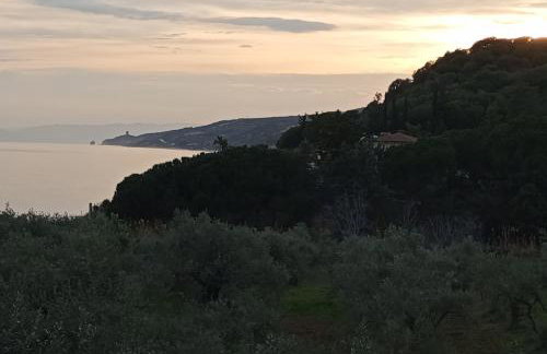 Villa Helga by the Sea - Photo 56