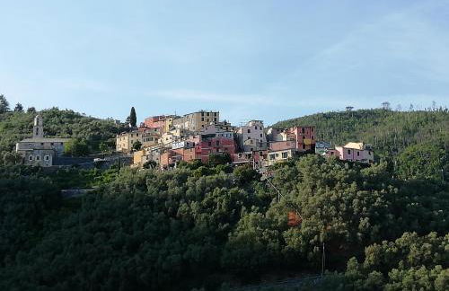 CASA LORENZO SULLE COLLINE DI LEVANTO e VICINO ALLE CINQUETERRE LT-0620 - Foto 14