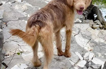 La Casa Di Francesco - Foto 28