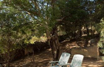 Villa Lavezzi F2 2-4 pers Rondinara, Bonifacio - Foto 18