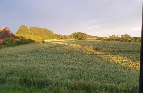 Ostseeferienhaus 33 über NN - Foto 51