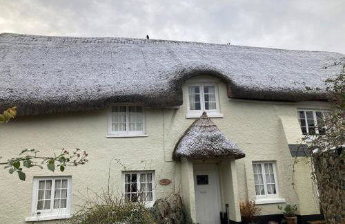 Little Reeds - Foto 2