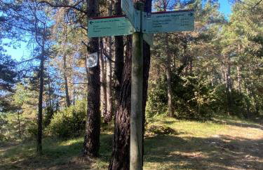 Cal Carol - Photo 19