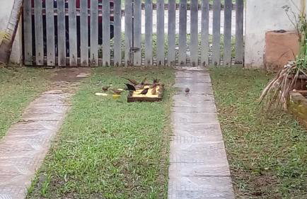 Cantinho da Paz - Foto 41