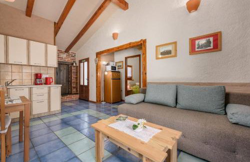 Apartment with pool Visnjan - Photo 49