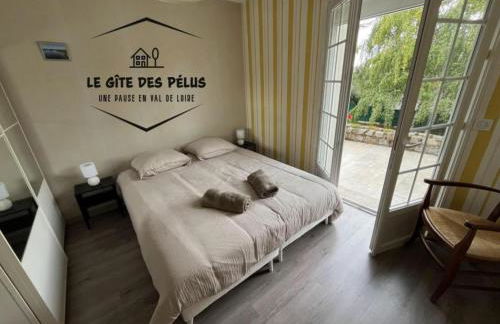 Le gîte des pélus - Photo 6