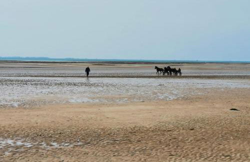 Maison de vacances 3 chambres à 400 m de la plage Kairon - Saint Pair sur mer - Foto 45