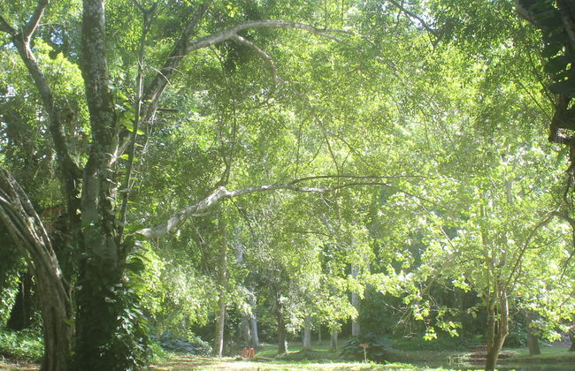 Excursion aux Jardins de Hershey à moto - Photo 1