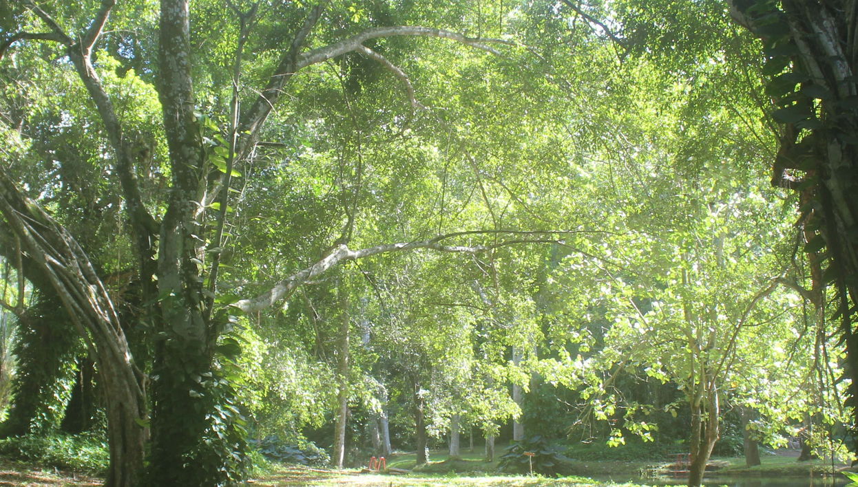 Excursion aux Jardins de Hershey à moto