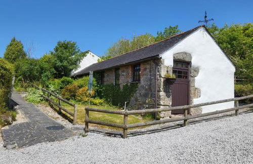 Cosy barn on rural smallholding with alpacas, goats & pigs - Foto 10