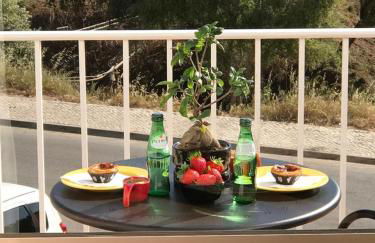 Apartment Albufeira Algarve - Foto 17