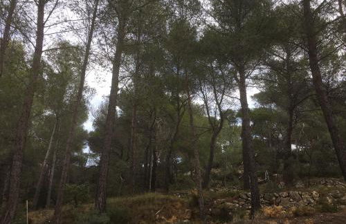 Gites Velaux Ecureuil et Pinède - Photo 21