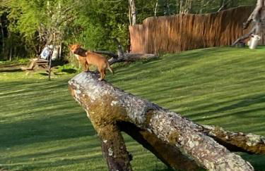 Virolet Barn - Foto 15