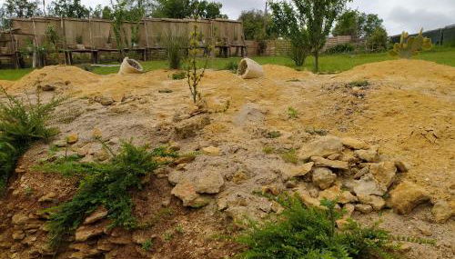 prehistogite - Foto 2