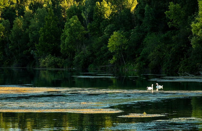 Villa dei Mulini - Foto 59