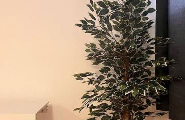 Serenity-ESE Entire Home - Foto 10