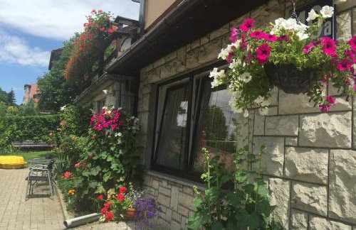 Noclegi pod kasztanem - Foto 33