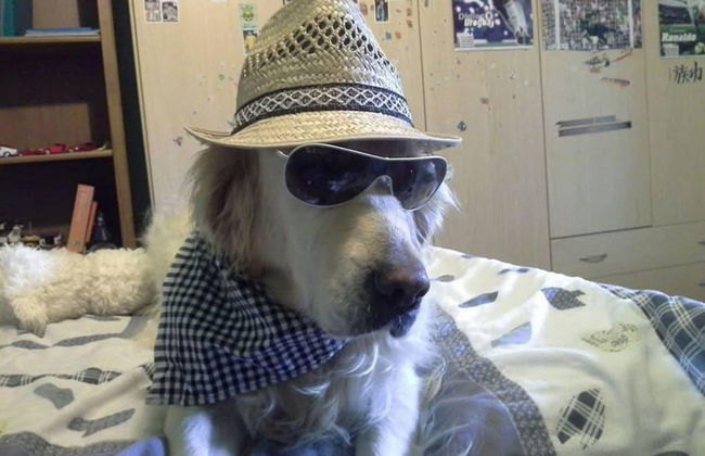 Beautiful Lux Apartment Chianti Firenze Area Italy - Photo 36