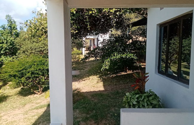 Restaurante Calor Tropical - Photo 65