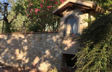 Il renaiolo - Foto 9