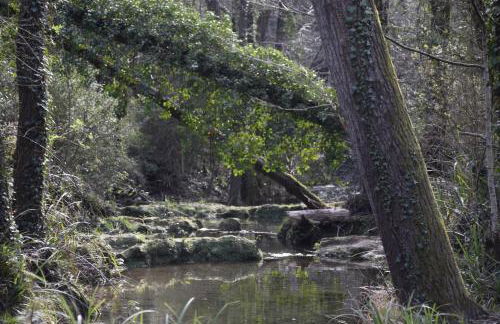 Ca La Tambona - Foto 54