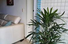 Um lugar de charme e aconchego - Lírio! - Foto 16