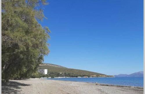 Seaside Villa AndroNikos (Evia Island) - Foto 44