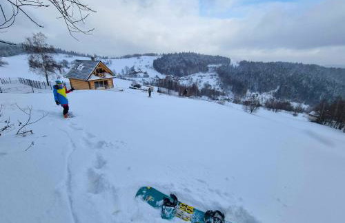 Domek na Kleninie z gorącą balią - Photo 39