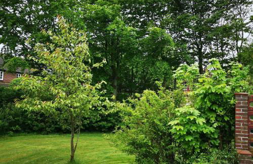 Haus Heike Whg EG - Photo 27