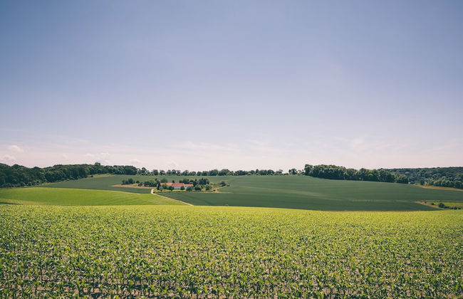 Well-kept Bungalow With Microwave Near Valkenburg - Photo 21