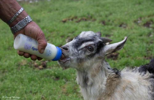 Agriturismo Pian di Fiume - Foto 17