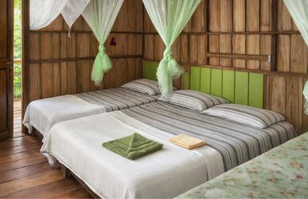 Pousada de selva Janauatour - Foto 10