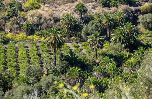 Sea View Villa Vista Golf - Foto 37