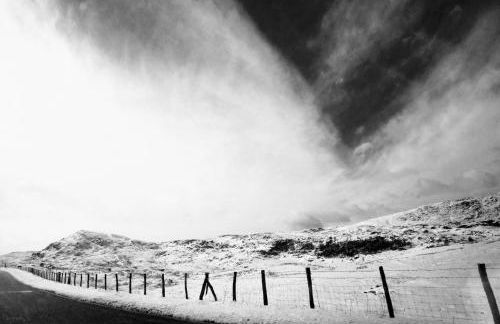 Shifty Chicken Shack - Foto 10