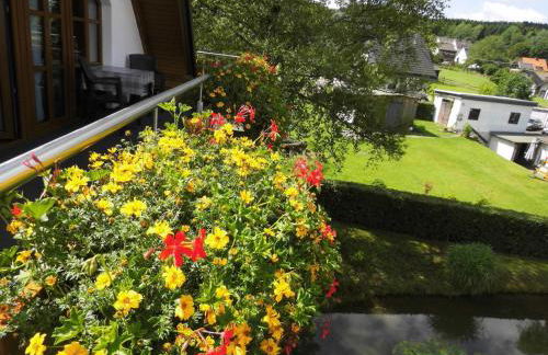 Cosy apartment with private garden in Brachthausen in the Sauerland - Foto 41
