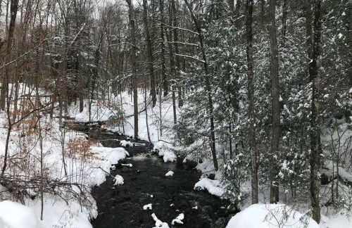 Spacious Catskills Home with Covered Hot Tub - Foto 17