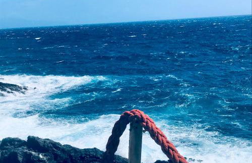 Studio 1 Hab - Foto 14