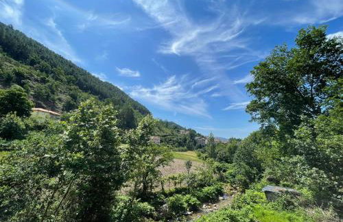 Teixeira Home - Gerês - Foto 34