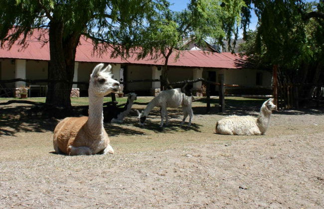 Tafí del Valle Trip - Photo 6