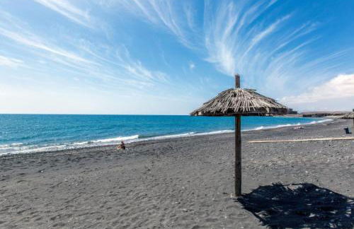 Villa Garden - Photo 10