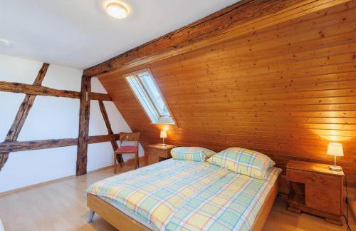 Haugstetter Schwarzwaldhaus - Foto 49