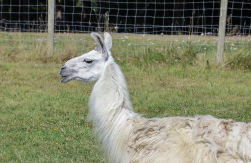 The Old Stables - Foto 27