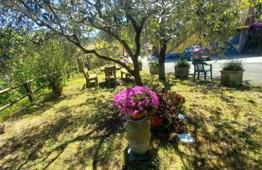 Il sogno di Gaggiuin - Foto 23