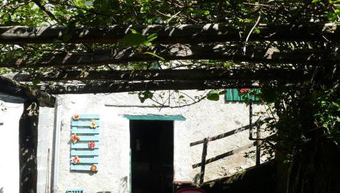 Cascina Marasca Appartamento Viola - Photo 5, Garden