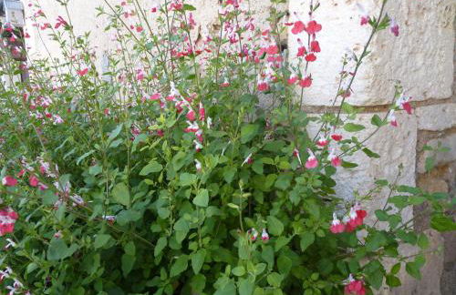 Maison à la Campagne - Foto 55