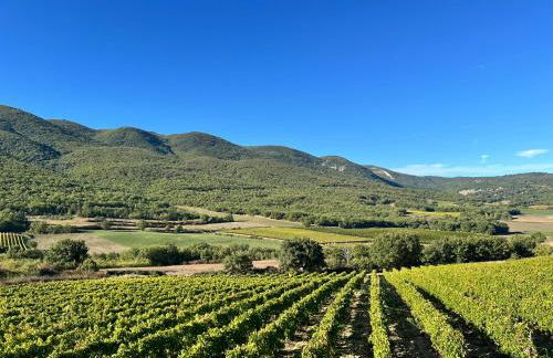 Le Grand Hermas - Foto 13