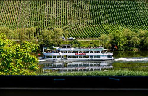 Moselappartements by Weingut Marco Adamy - Foto 50