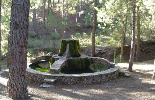 Torre Blanca - Foto 28