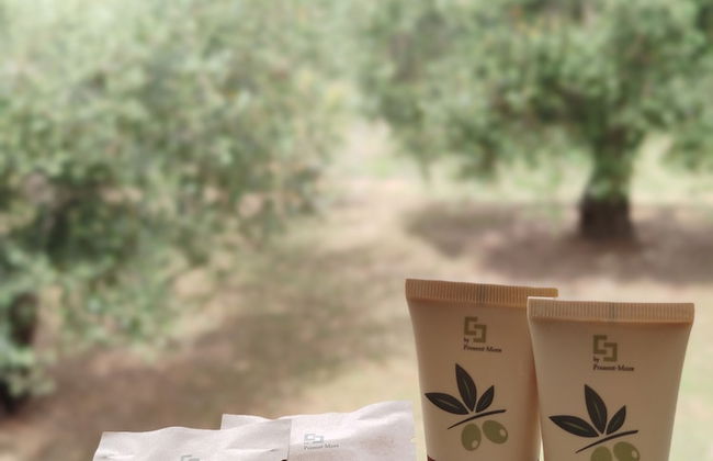 Tenuta Santa Cristina - Foto 61